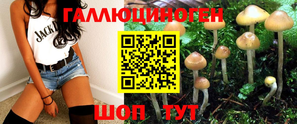 Псилоцибиновые грибы мицелий Канск