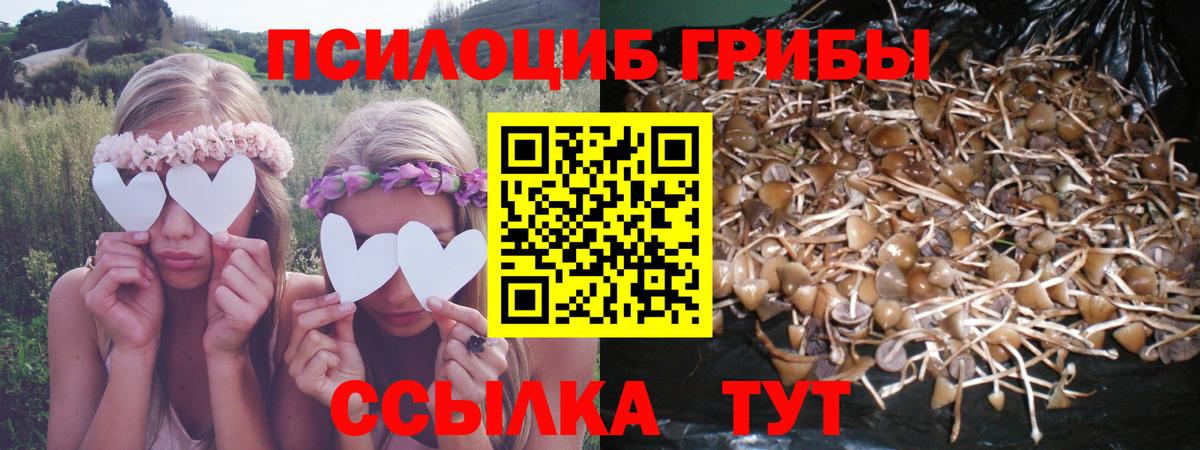 Галлюциногенные грибы MAGIC MUSHROOMS  Вход с VPN  Канск 