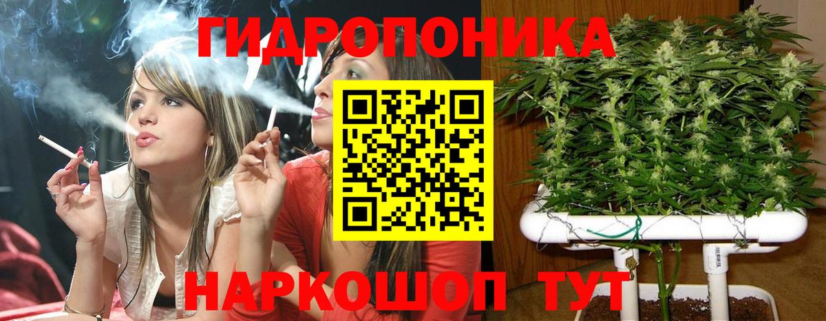 Канск  Канабис сатива  Вход с VPN  Каннабис OG Kush  МАРИХУАНА White Widow 